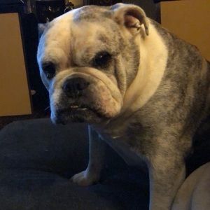 Meet your Posher, Christina